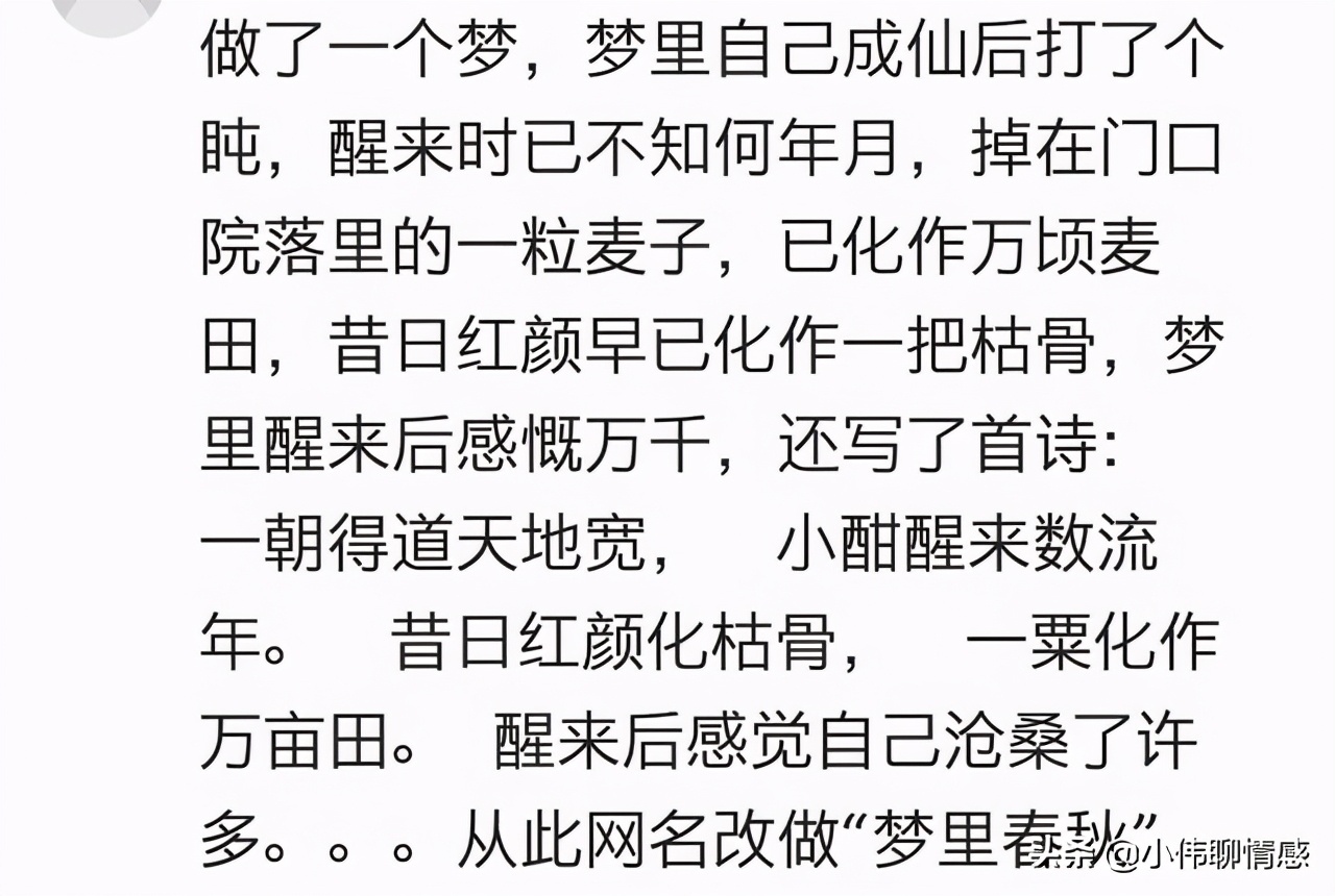 你的网名寓意什么,你的网名寓意是什么