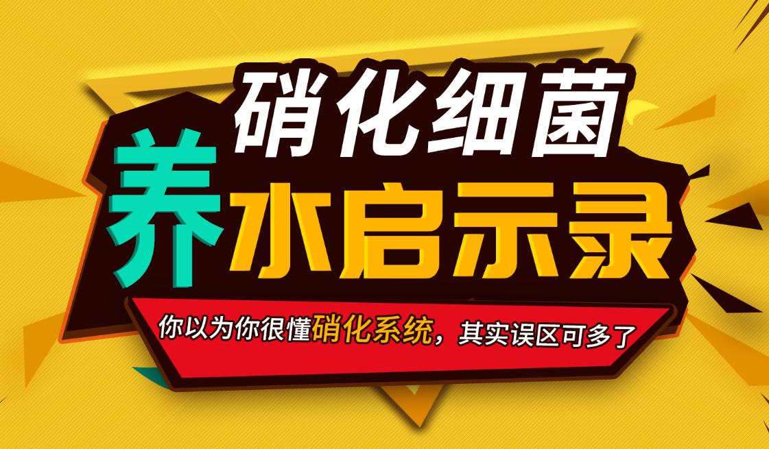 如何养水建立硝化系统,养水启示录硝化系统
