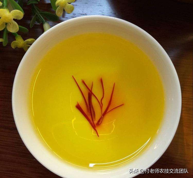 女性喝藏红花茶有什么好处和坏处,藏红花对女性的妇科有什么好处