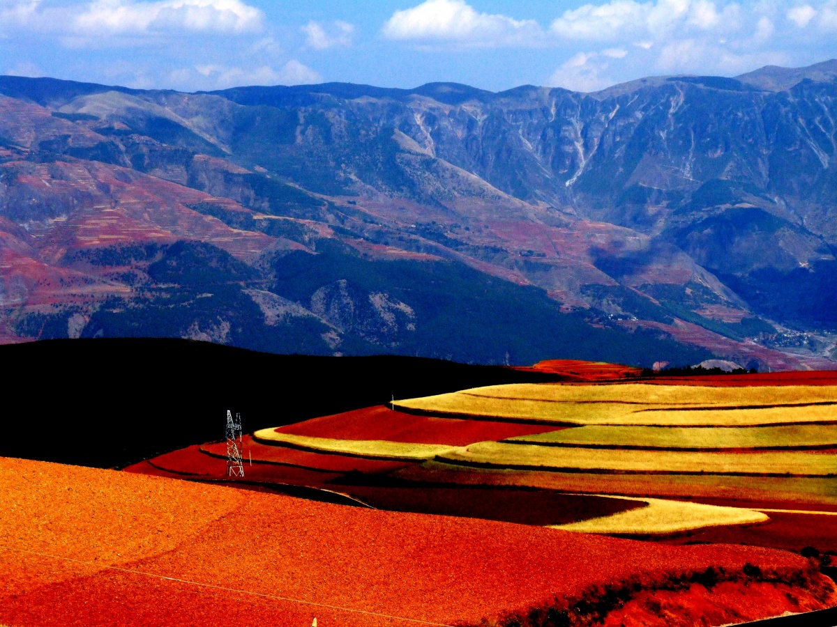 中国的各地隐藏特产,去泰国旅游带点什么特产回来