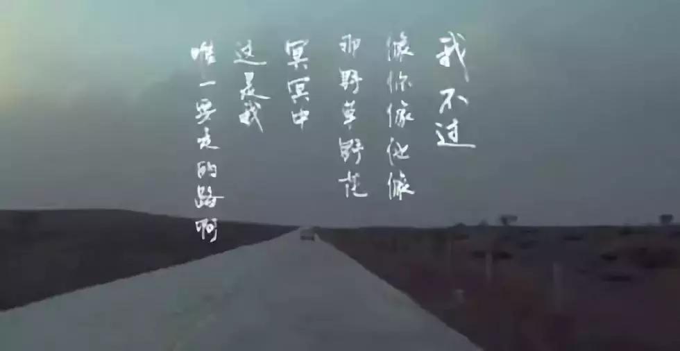 朴树借给谁钱,朴树年轻的时候有多疯