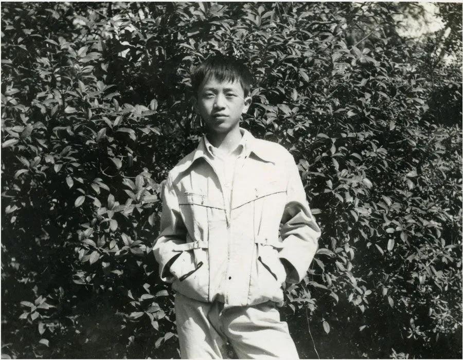 周鸿祎重组,周鸿祎会回归吗