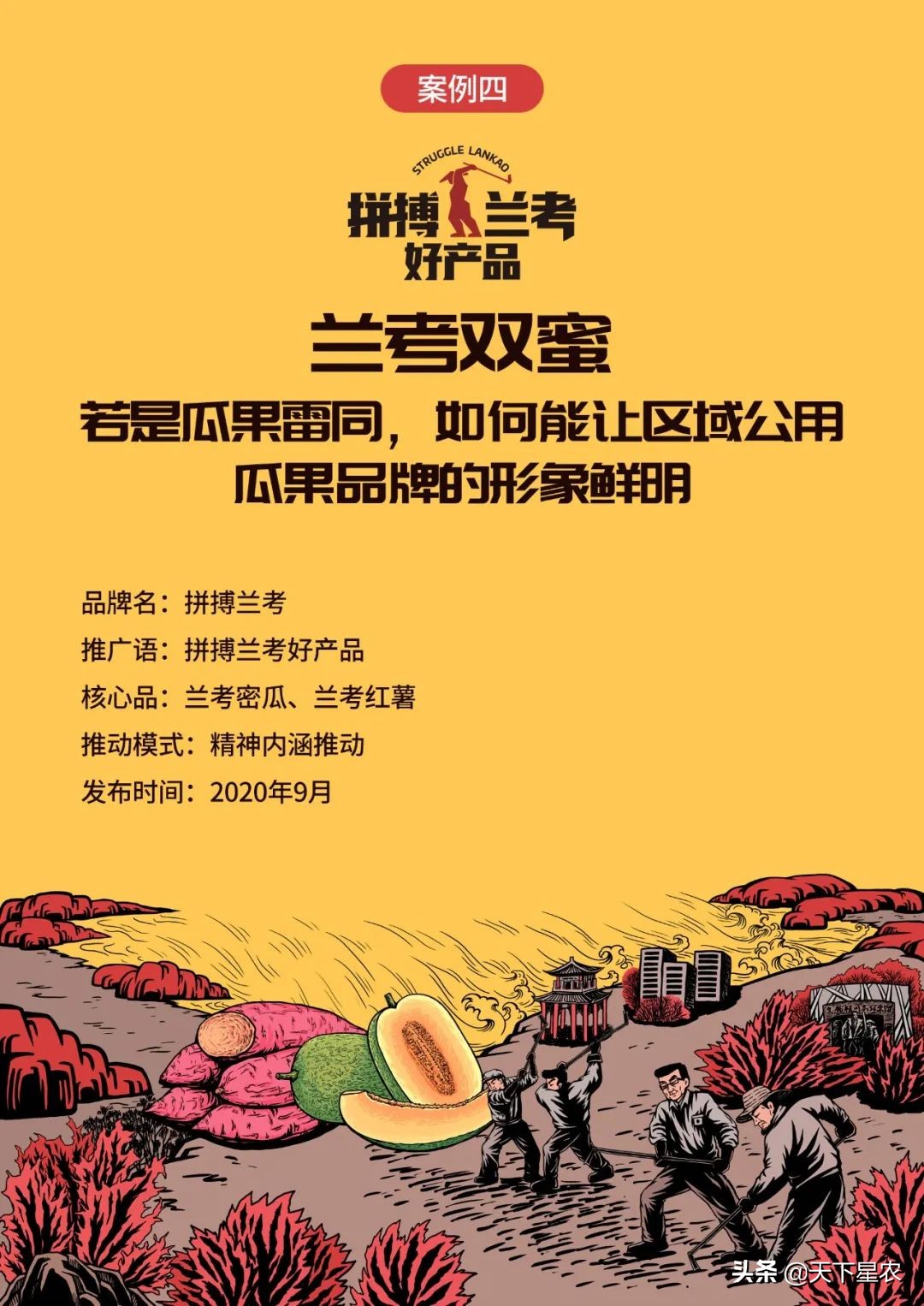 天下星农：如何让一个区域公用品牌市场化？（下篇）