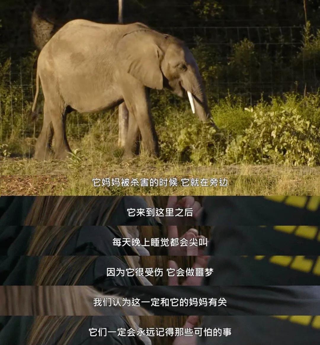 只为一串佛珠,他活剥了我妈的皮:人心有多可怕,你根本想象不到