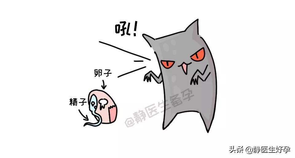 静医生备孕：想要备好孕？这些”黑色受孕时间“了解一下