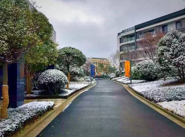 苦尽甘来！南京多家小区换物业！业主扬言要涨价