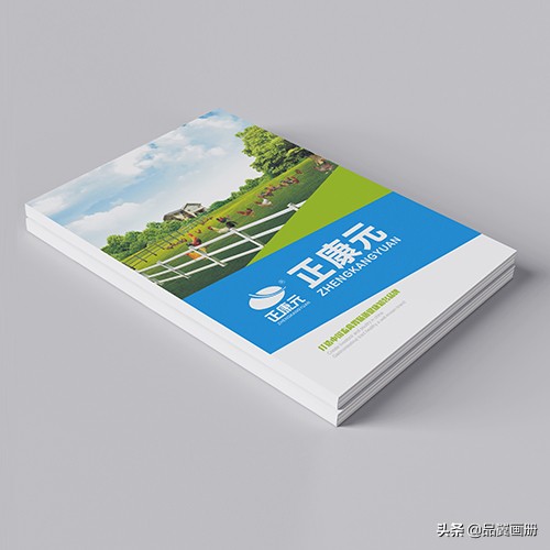 为什么说画册设计是企业最好的宣传*器武**?