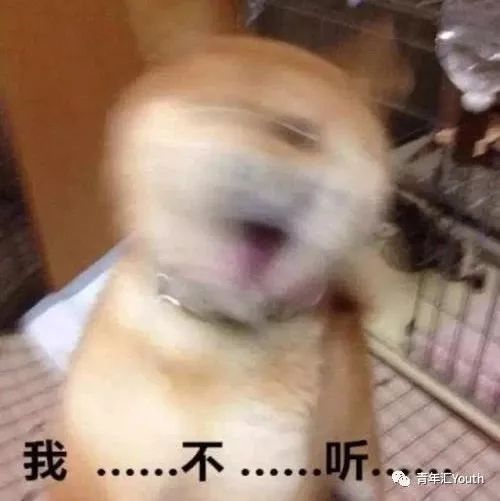 沙雕网友最后差点气吐血,沙雕网友用力过猛