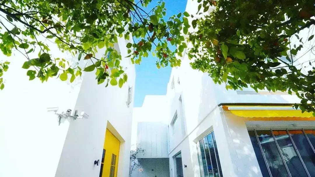 去上海必去的民宿,上海树林民宿推荐