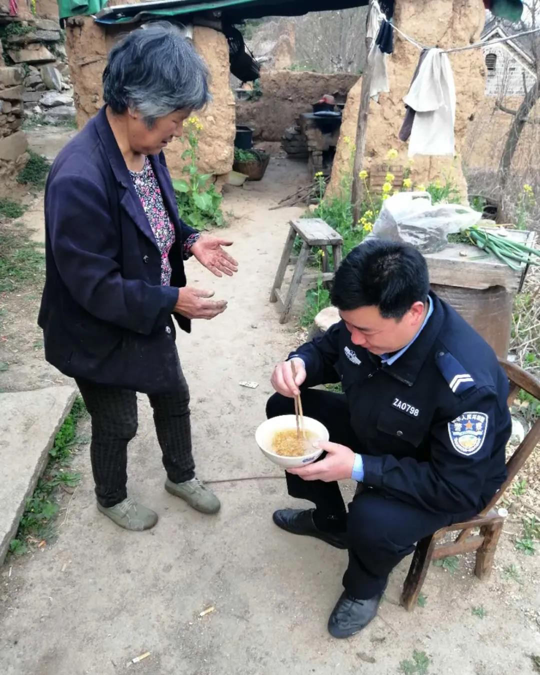 深山看猴记,深山看茶叶视频