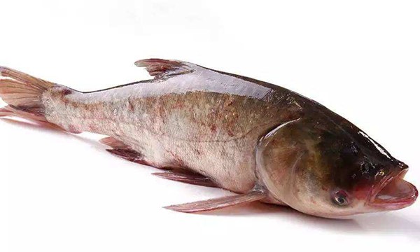 吉林松原特产或小吃,松原特产必买清单