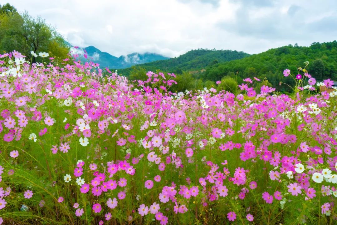 说秋道冬话永胜，气候多样人宜居