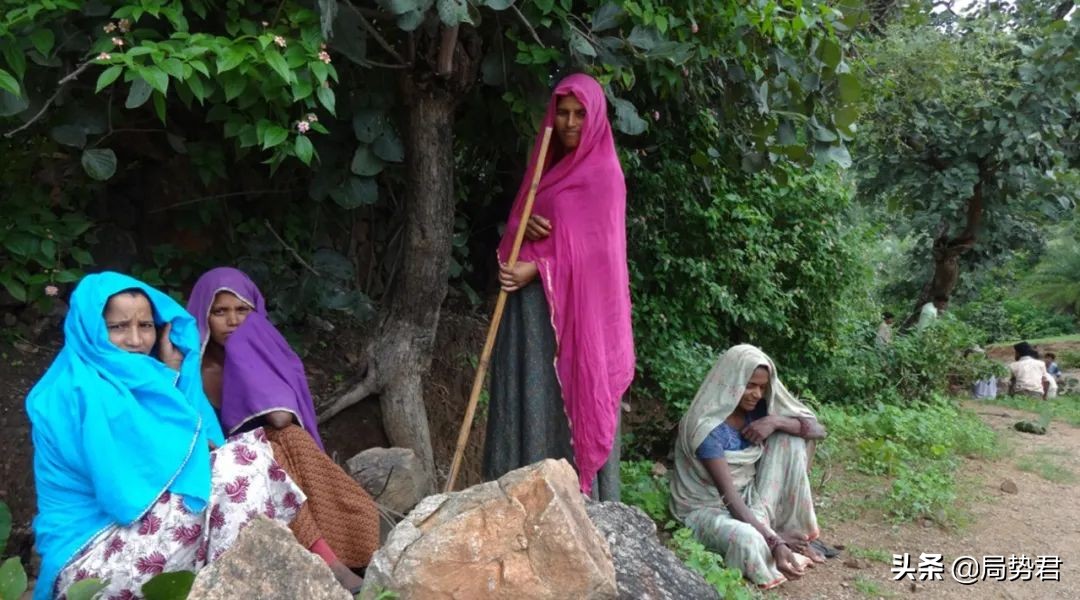 全球森林面积最低的国家排名,亚洲面积最大的人工红松森林