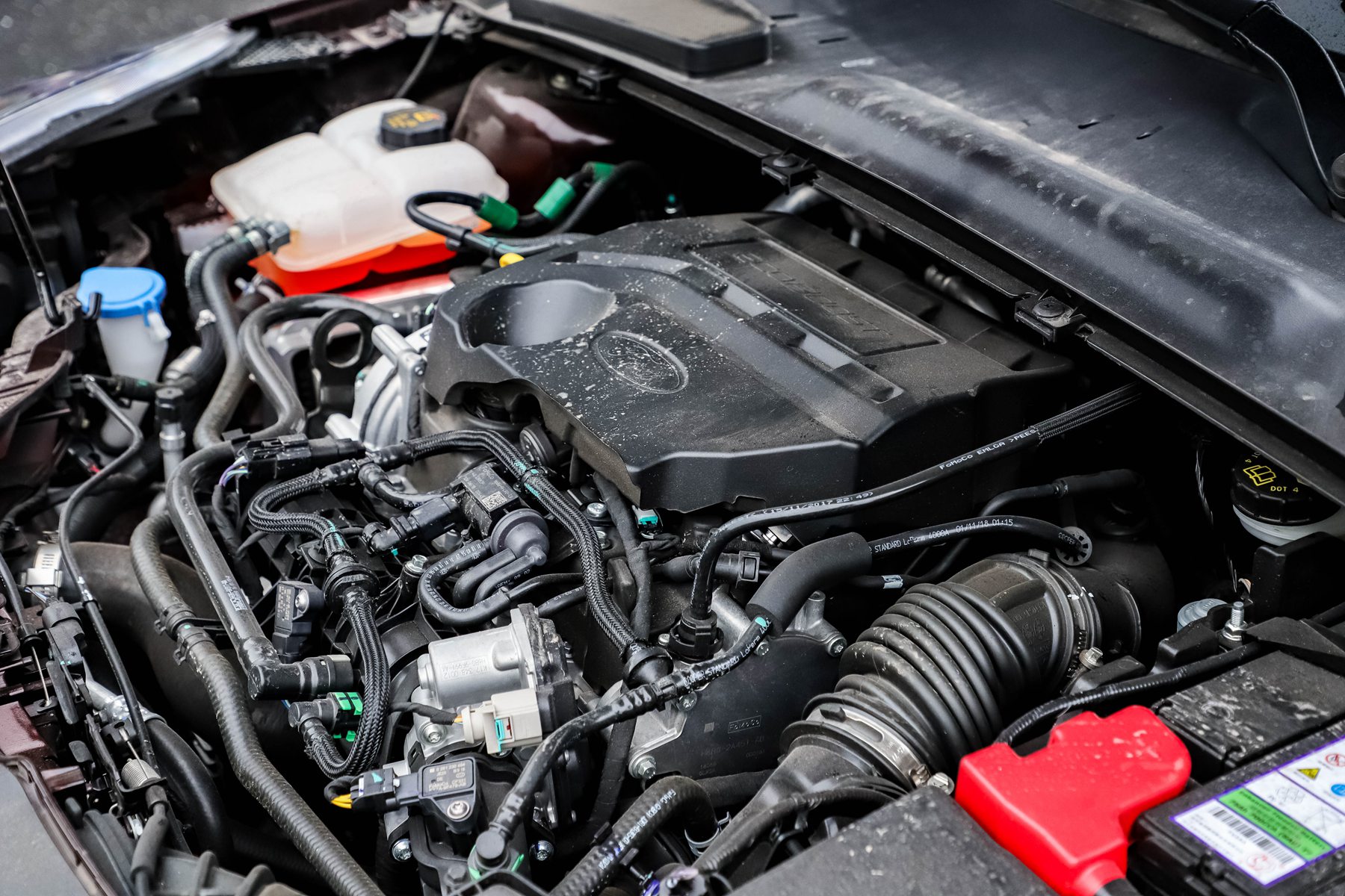 新款福睿斯的10大忠告,小车理想