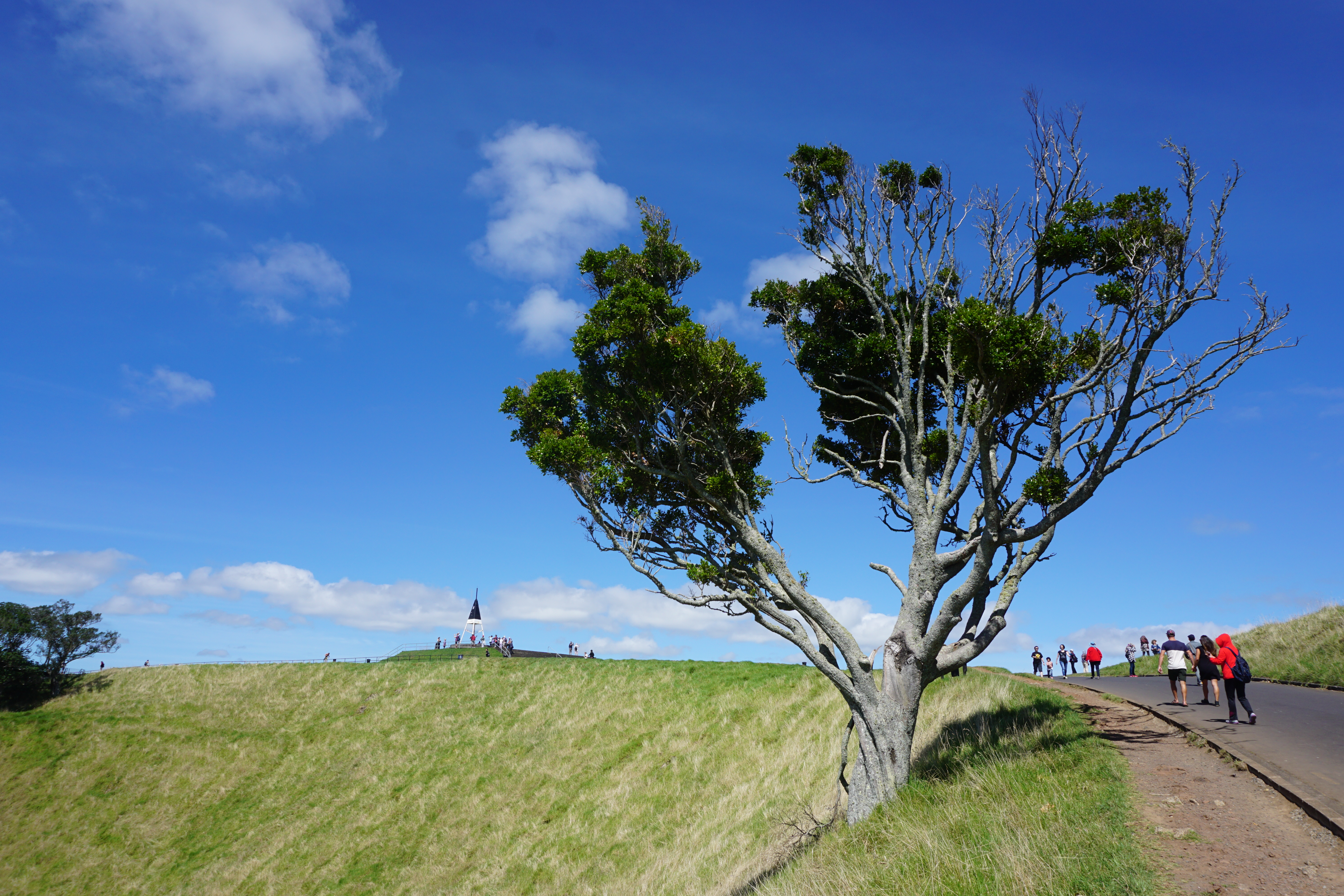新西兰天然农场,成都新西兰牧场