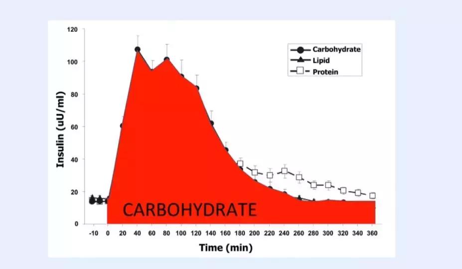 世界公认减肥2天瘦10斤,日本快速减肥法一星期瘦十斤