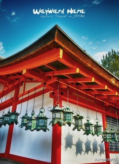 散步关西の日本深度自由行大阪都门奈良城崎、白滨温泉(上篇)