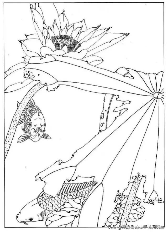 古诗十九首全文及注释,古诗十九首原文及译文