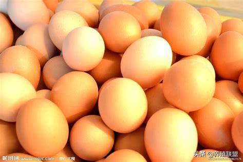 出货端蛋贱坑农，消费端蛋贵伤民