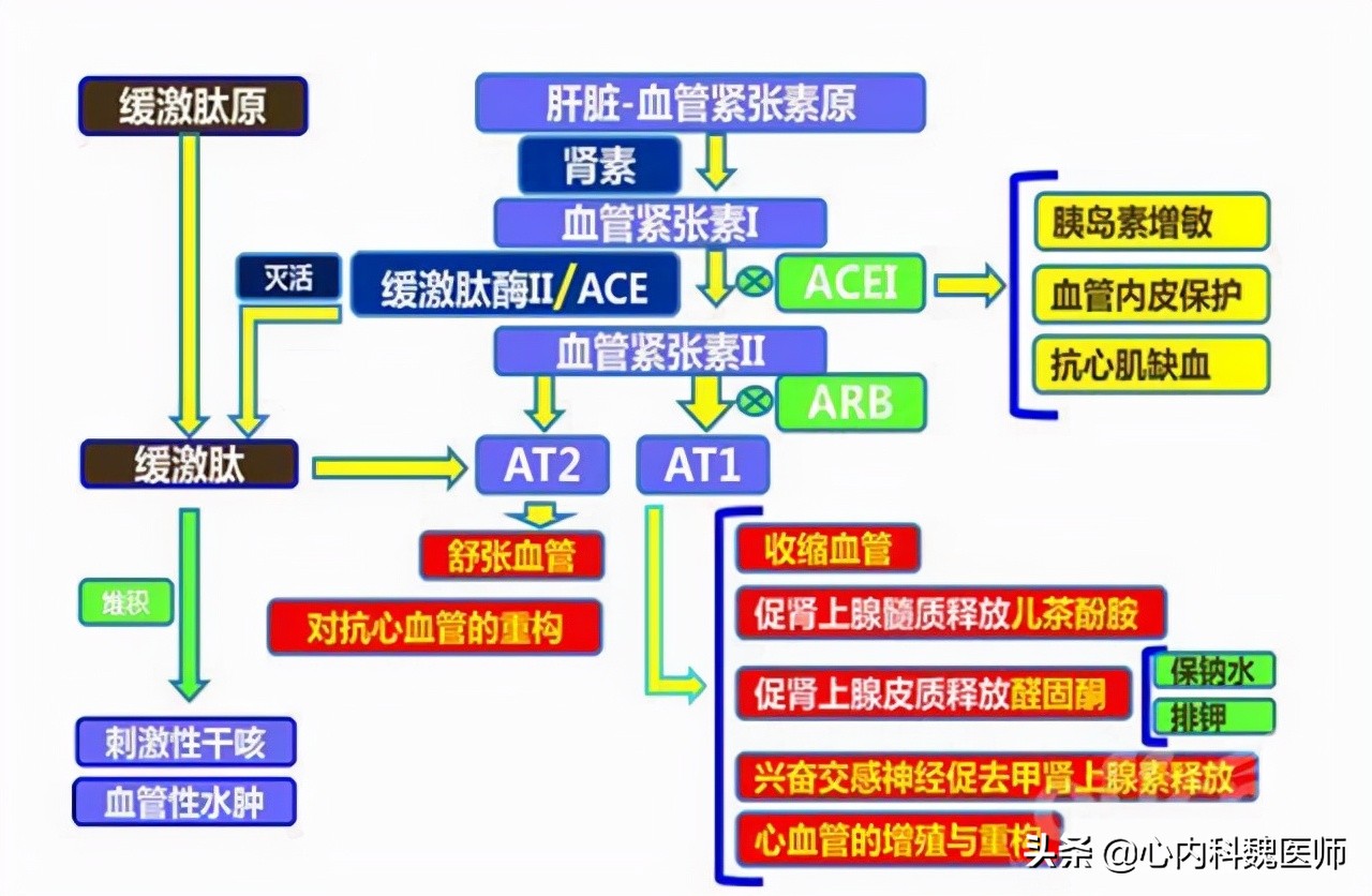 低压高高血压如何选择降压药,血压低压93应吃什么药降压