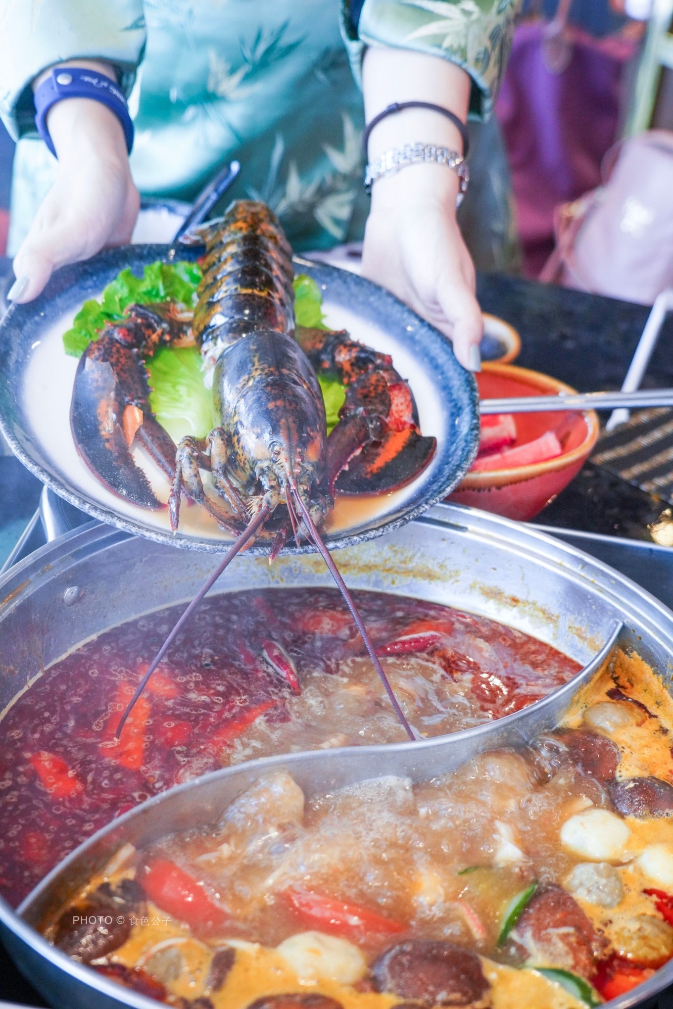 海上养猪场邮轮,海洋光谱号邮轮海上养猪场