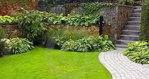 庭院盆景石头摆放图片,用什么摆放石头盆景好风水