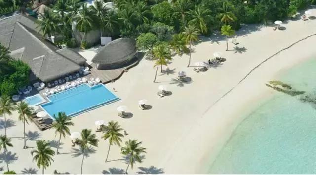 马尔代夫浮潜珊瑚最好的岛,马尔代夫魔富士岛浮潜攻略