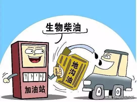 地沟油生物柴油前景,生物柴油发展