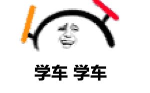 2019拿到驾驶证,2019拿到了驾照