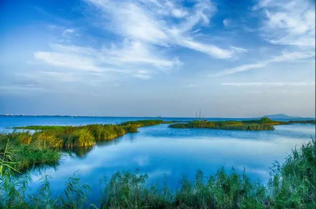 「山水行吟」8月刊｜蓝关雪野黄河道，岭外梅花国士情