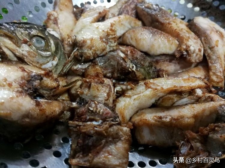 舌尖上的家常菜鱼,舌尖上的味道百吃不腻完整版