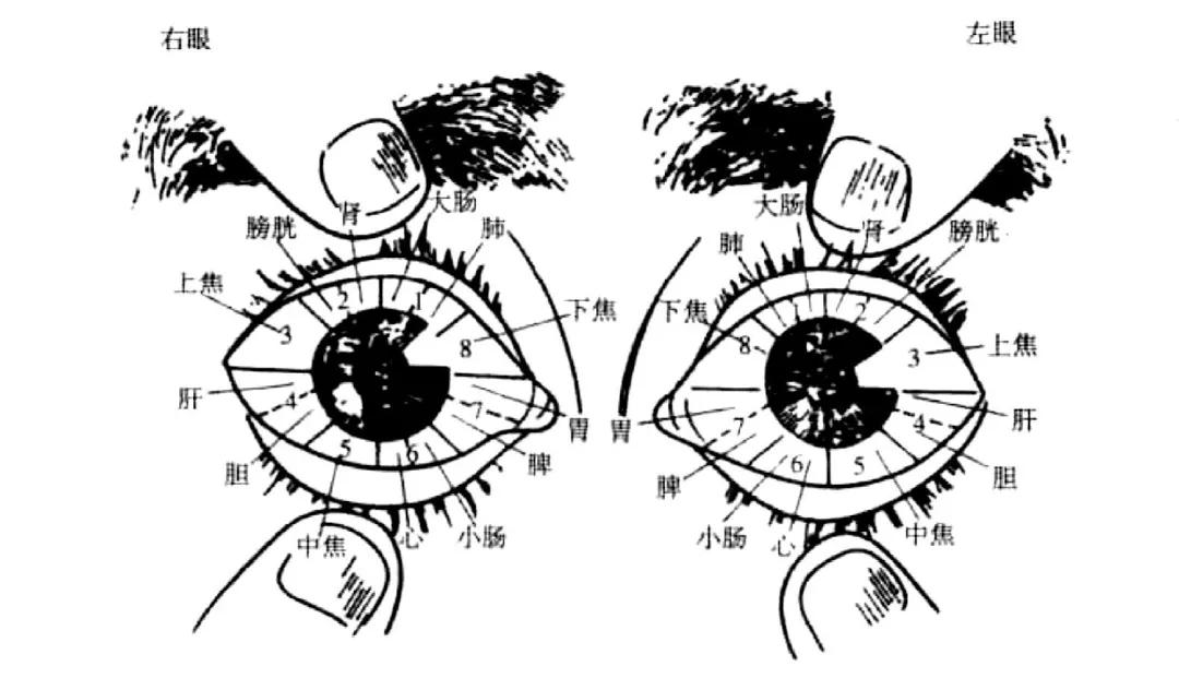 眼球巩膜在哪里,眼睛巩膜是怎么回事