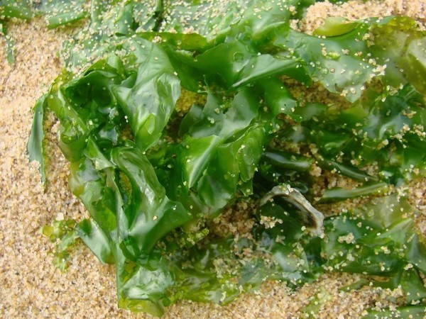 一个人在海边玩一天,一个人在海边怎么玩