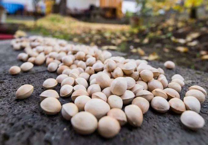 腾冲旅游攻略气温,腾冲深度旅游