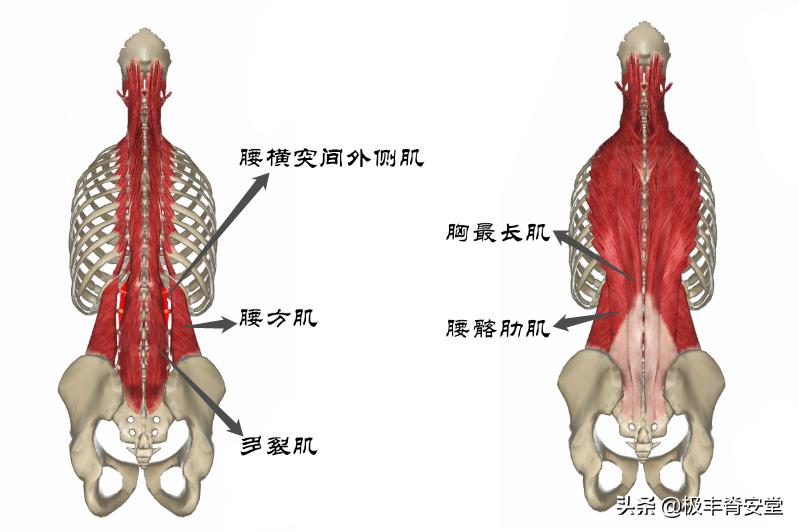 腰部不舒服图片,腰不舒服但是检查都正常