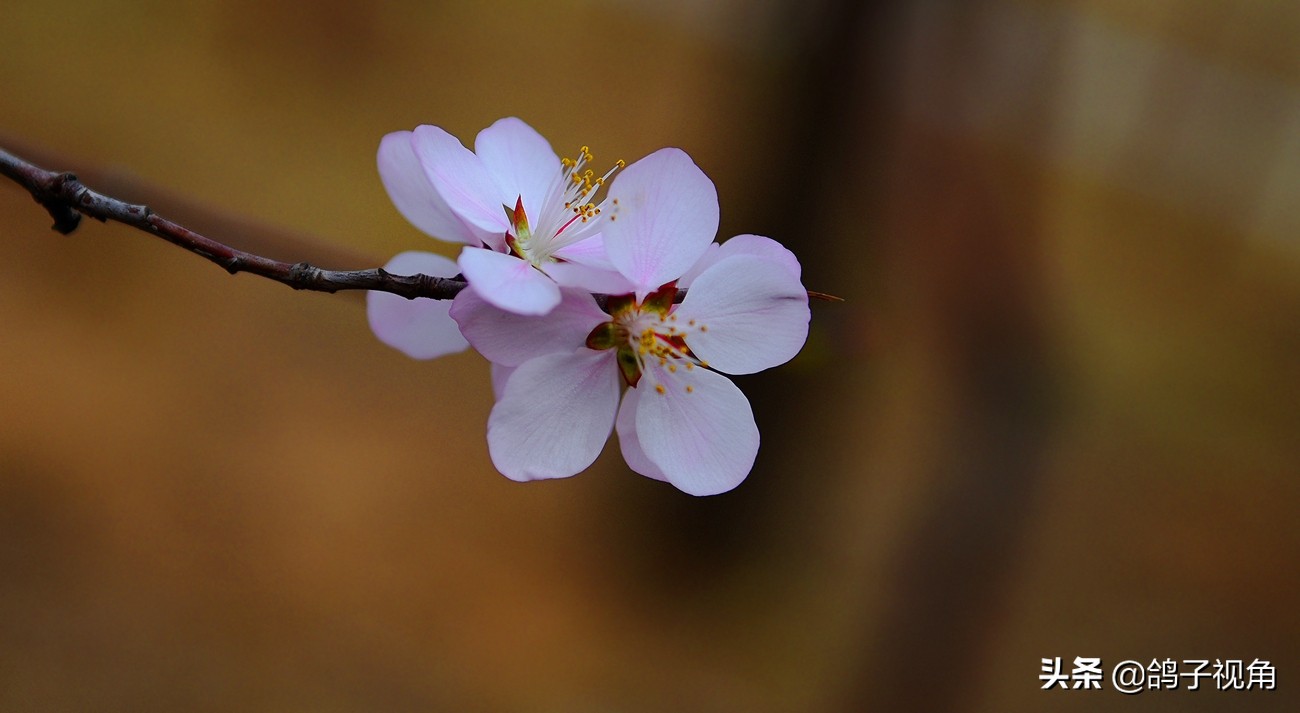难容之事不妨付之一笑,生气时能够坦然一笑是一种大度