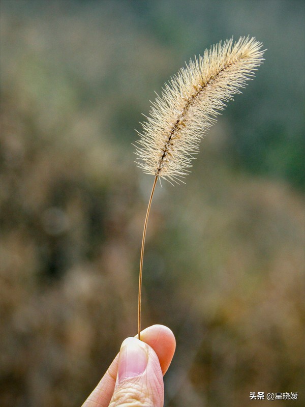 恋人性格多变怎么办,恋人变冷淡怎么办