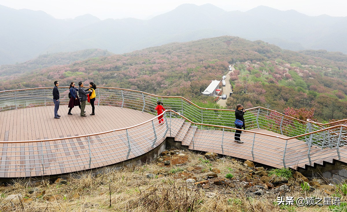 四明山十大观景台排名,四明山观景平台海拔
