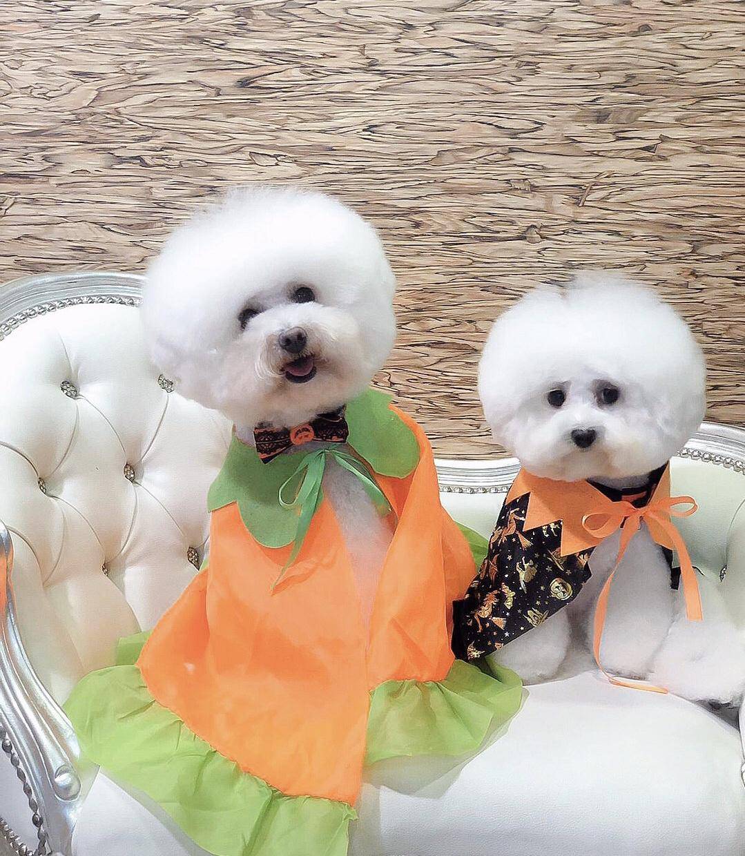 90年代女明星代言的洗发水,拍过洗发水广告的女演员