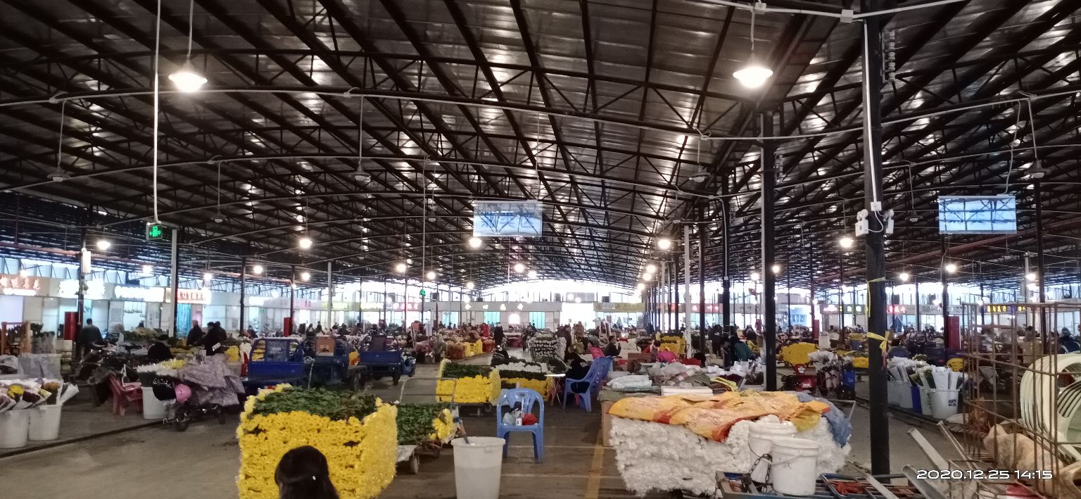 花都区岭南花卉批发市场在哪里,广州岭南花卉市场批发攻略