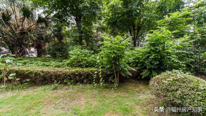 一楼带院子的房子有什么不好,一楼带院子的房子采光不好