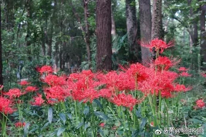 冬季连云港花果山旅游攻略,连云港花果山旅游攻略吃住