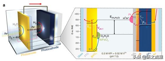 鍌寲蹇姤鏈熷垔,鍌寲鏉傚織灏侀潰