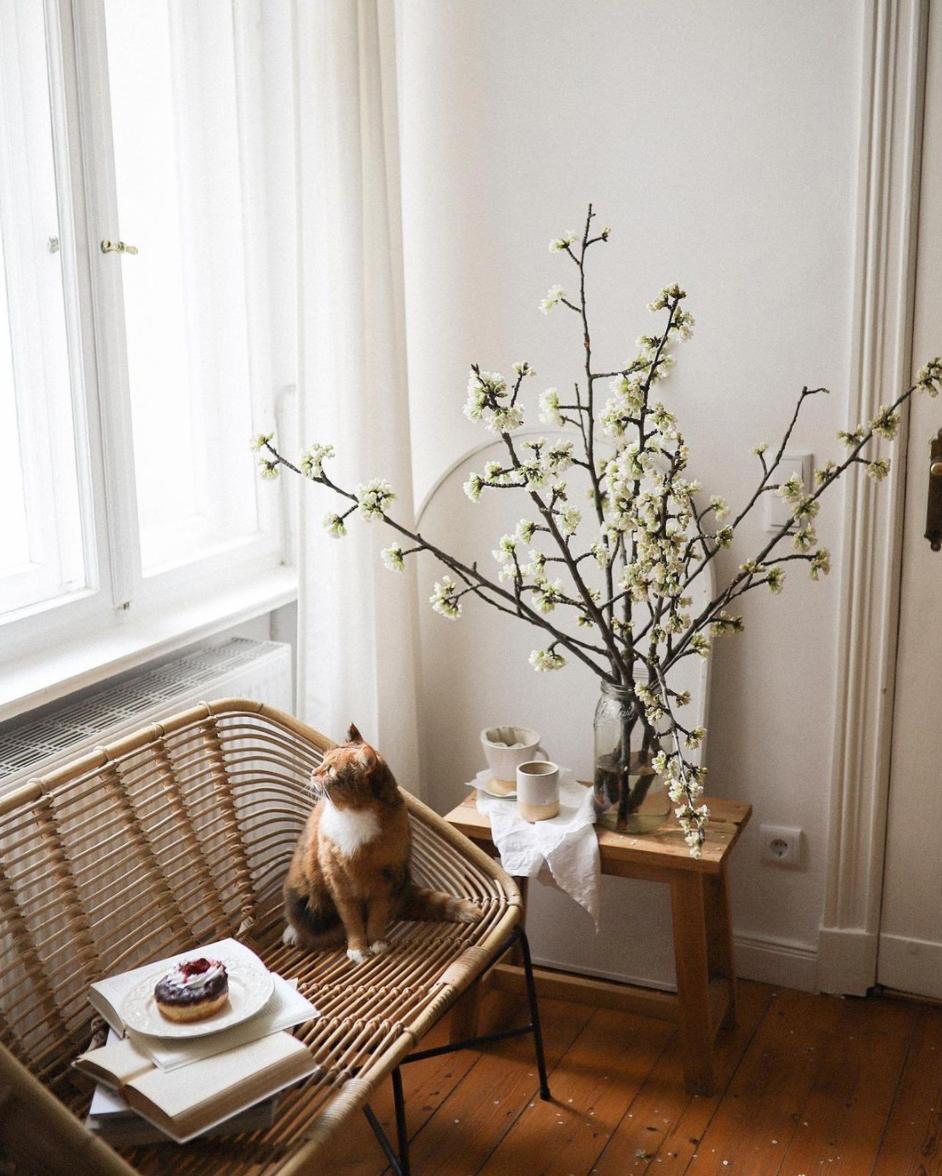 再来一杯冰拿铁,再来一杯冰咖啡