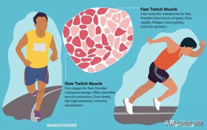 想跑不快应该怎么练,想要跑得快要练什么