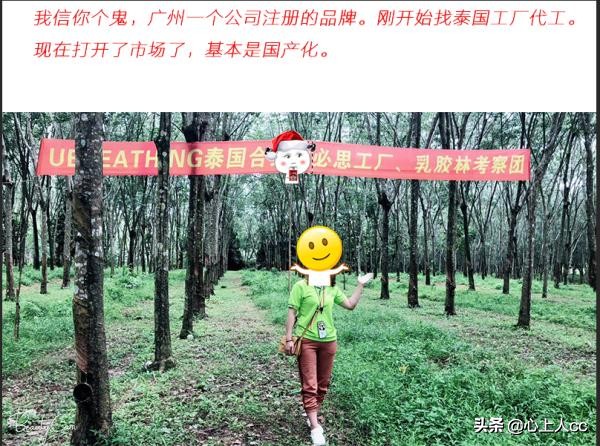 真乳胶枕和假乳胶怎么辨别,怎么区分天然乳胶枕和海绵枕头