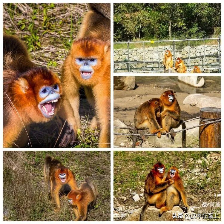 汉中户外遛娃好去处排行榜,汉中遛娃旅游景点有哪些