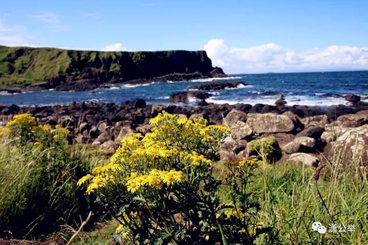 北爱尔兰巨人之路一日游,北爱尔兰巨人之路什么时候浪最大