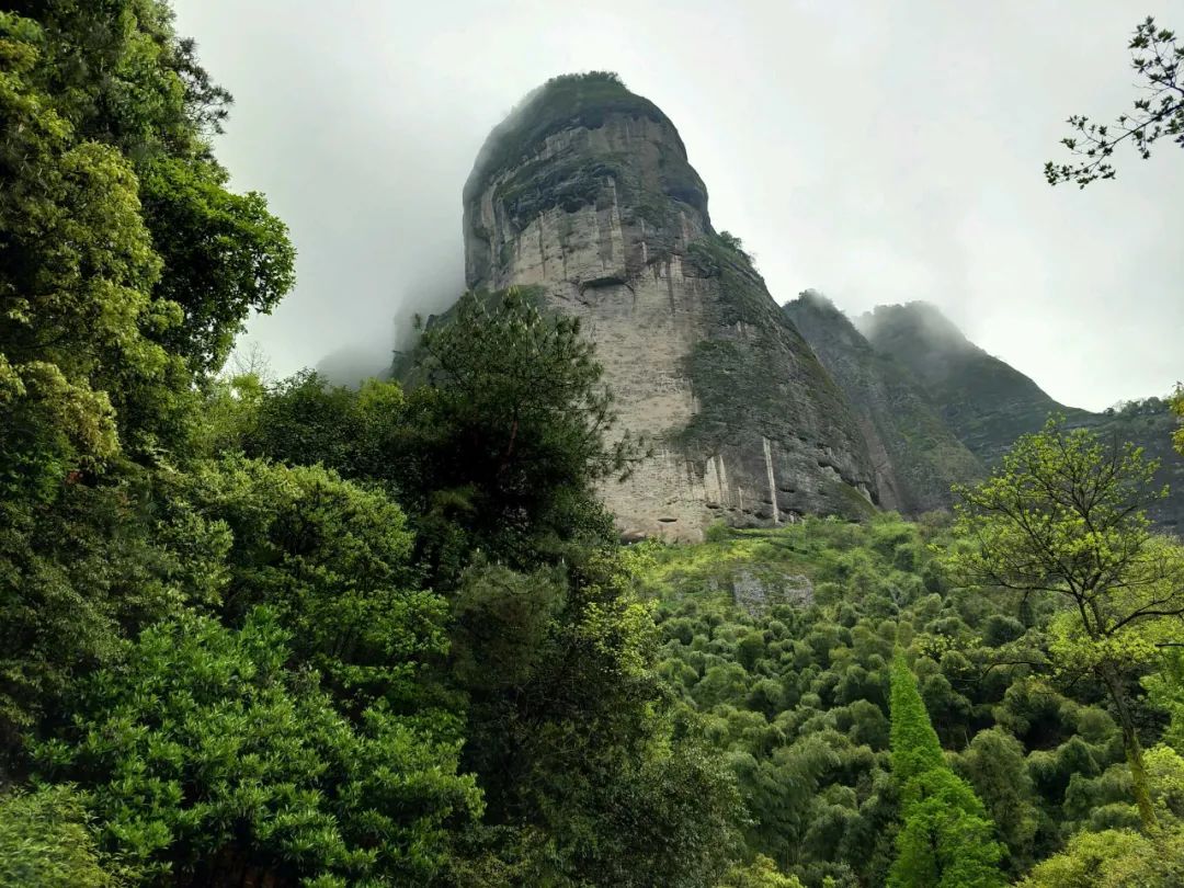 庄子的文化常识及思想,庄子的内篇有哪七篇