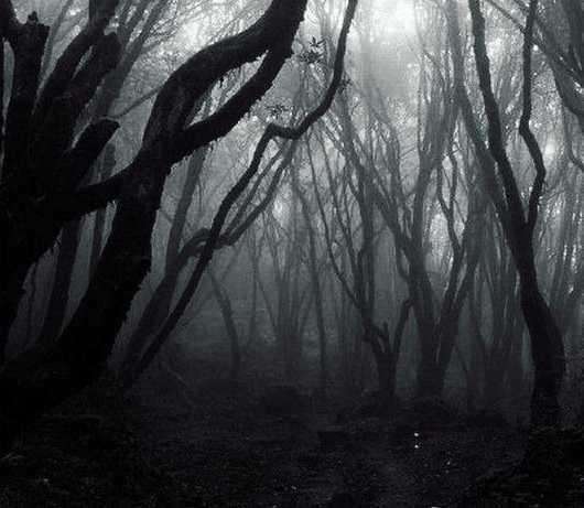 解读宇宙坍缩刘慈欣,刘慈欣提出什么理论比霍金早